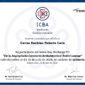 Acercar imagen: certificate 45