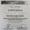 Acercar imagen: certificate 8
