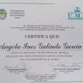 Acercar imagen: certificate 16
