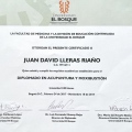 Acercar imagen: certificate 5