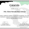 Acercar imagen: certificate 10
