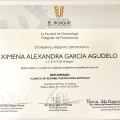 Acercar imagen: certificate 3