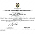 Acercar imagen: certificate 15