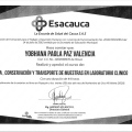 Acercar imagen: certificate 7