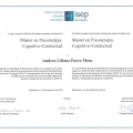 Acercar imagen: certificate 4