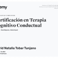 Acercar imagen: certificate 1
