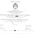 Acercar imagen: certificate 3