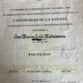 Acercar imagen: certificate 3
