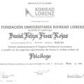 Acercar imagen: certificate 2