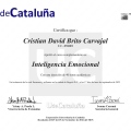 Acercar imagen: certificate 5