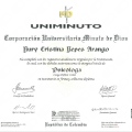 Acercar imagen: certificate 1