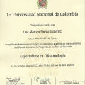 Acercar imagen: certificate 3
