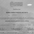 Acercar imagen: certificate 4
