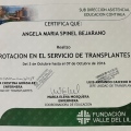 Acercar imagen: certificate 6
