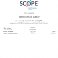 Acercar imagen: certificate 4