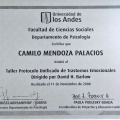 Acercar imagen: certificate 8