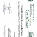 Ampliar imagem: certificate 3