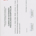 Ampliar imagem: certificate 19