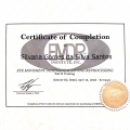 Ampliar imagem: certificate 11