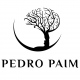 Pedro Paim Santos