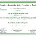 Ampliar imagem: certificate 3