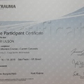 Ampliar imagem: certificate 15