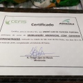 Ampliar imagem: certificate 6