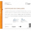 Ampliar imagem: certificate 9