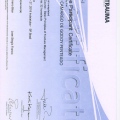 Ampliar imagem: certificate 3