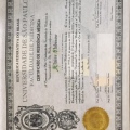 Ampliar imagem: certificate 4