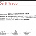 Ampliar imagem: certificate 175