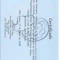 Ampliar imagem: certificate 6