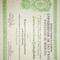 Ampliar imagem: certificate 4