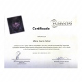 Ampliar imagem: certificate 6