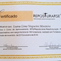Ampliar imagem: certificate 4