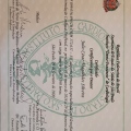 Ampliar imagem: certificate 9