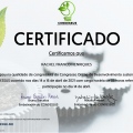 Ampliar imagem: certificate 12