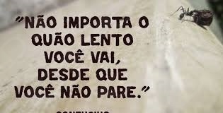 Maria De Fátima Barbosa Da Conceição-3