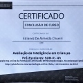 Ampliar imagem: certificate 3