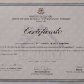 Ampliar imagem: certificate 2