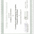 Ampliar imagem: certificate 14
