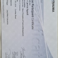 Ampliar imagem: certificate 4