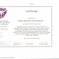 Ampliar imagem: certificate 9