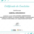Ampliar imagem: certificate 10