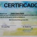 Ampliar imagem: certificate 15