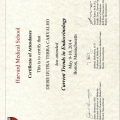 Ampliar imagem: certificate 3