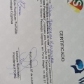 Ampliar imagem: certificate 15