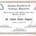 Ampliar imagem: certificate 6