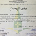 Ampliar imagem: certificate 7