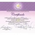 Ampliar imagem: certificate 4
